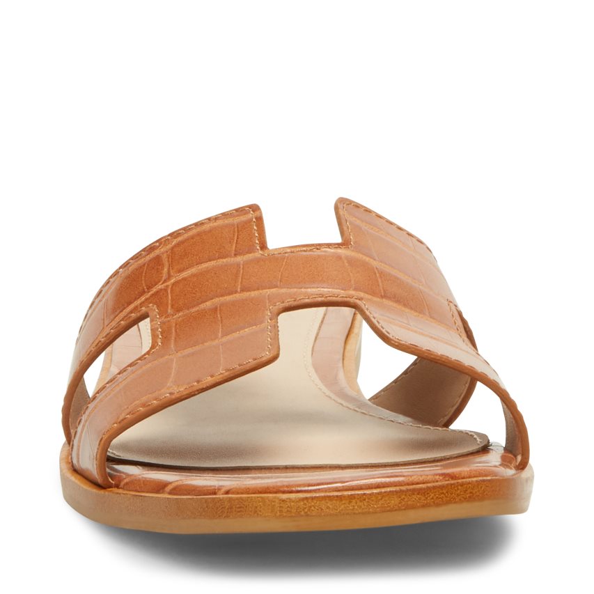 Brown Steve Madden Hadyn Women's Slides | PH 0754UVL